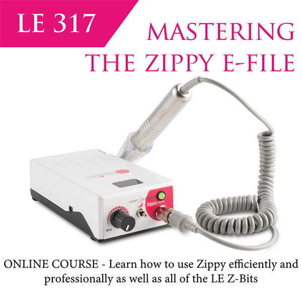 Light Elegance launches a NEW Online Course | LE : 317 Mastering the Zippy eFile