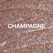 Champagne Glitter Gel 10 ml