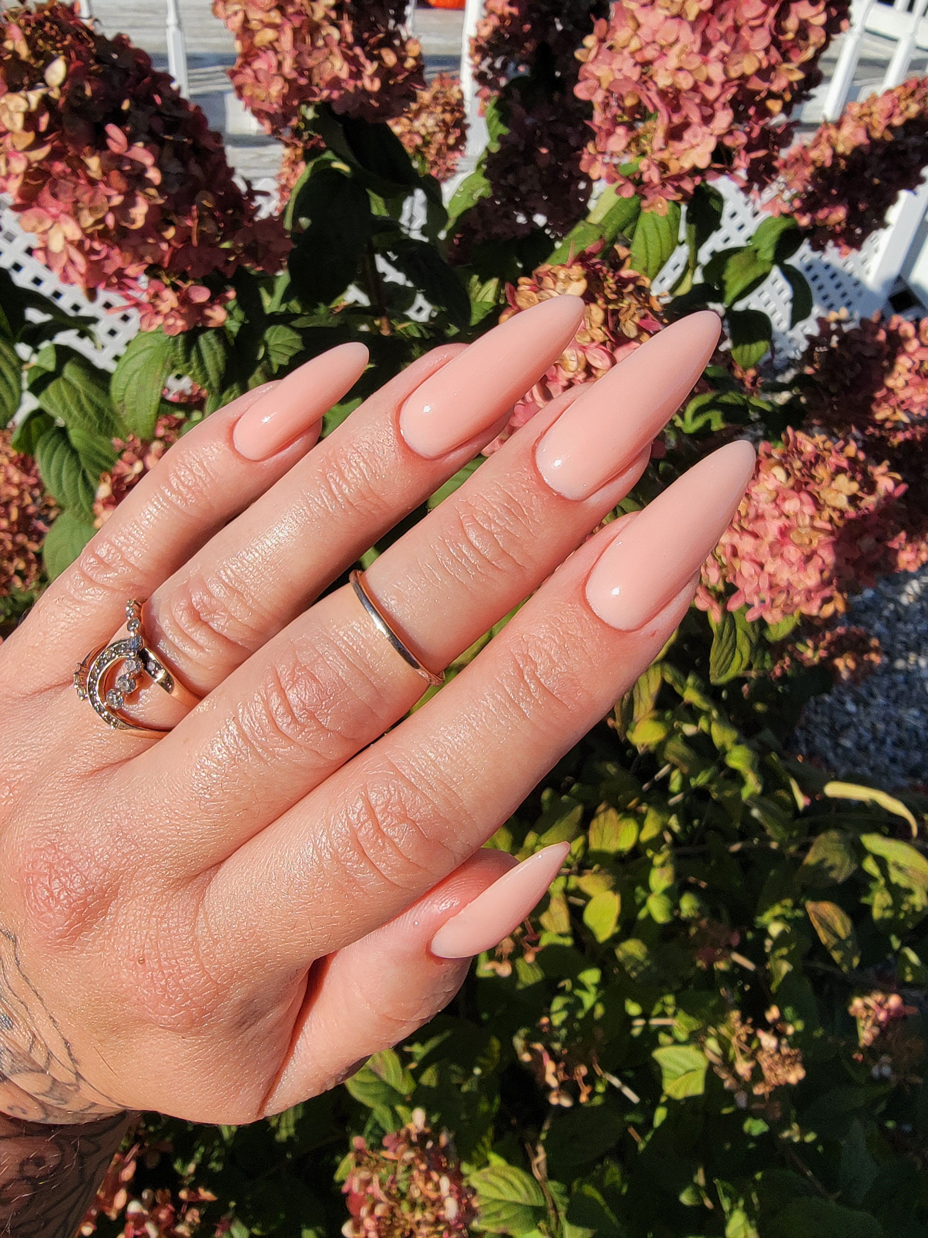 Delicate Peach Builder Lexy Line Building Gel